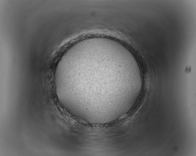X0000115261494200911201653