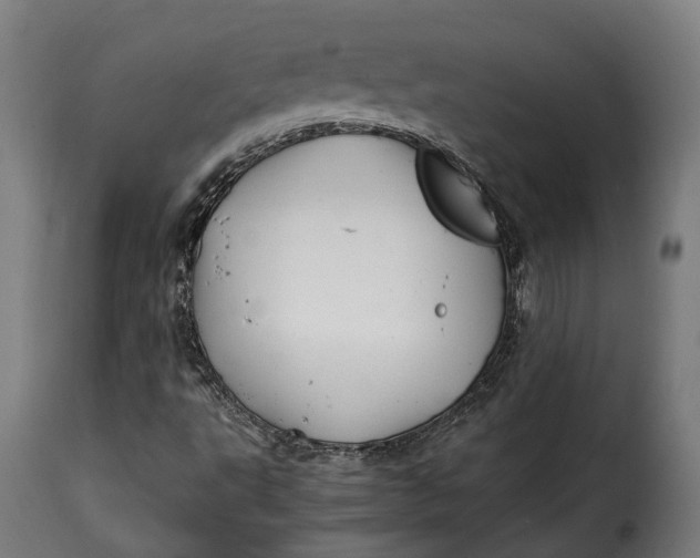 X0000115261495200911201653