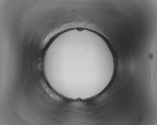 X0000115261499200911201653