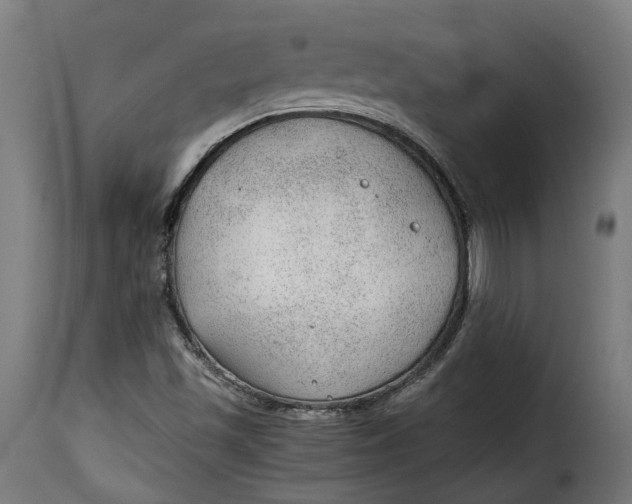 X0000115261501200911201653