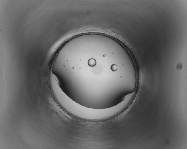 X0000115261502200911201653