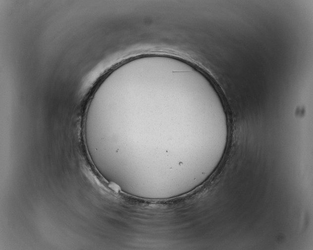 X0000115261503200911201653