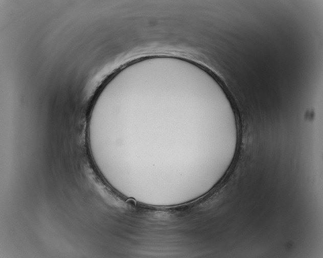 X0000115261507200911201653