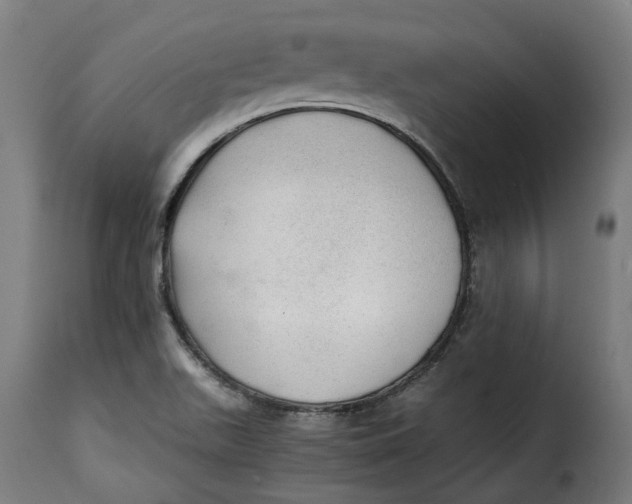 X0000115261511200911201653