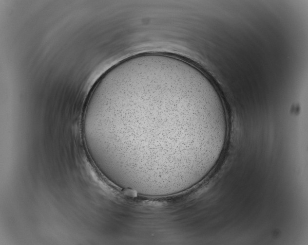 X0000115261513200911201653