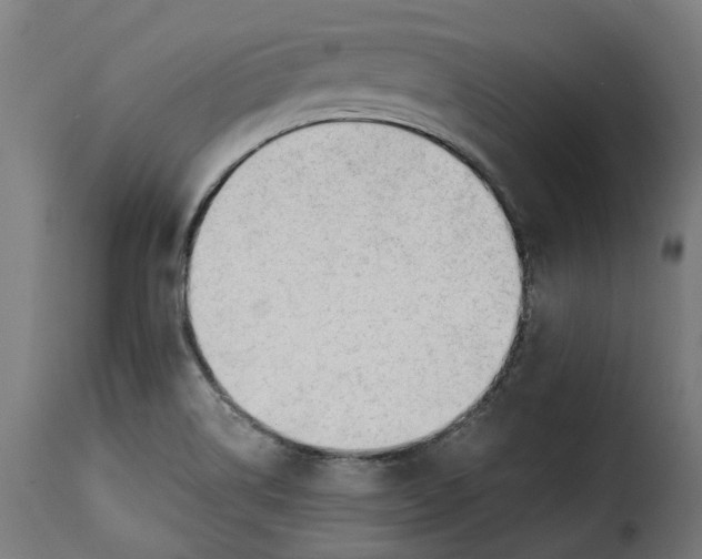 X0000115261514200911201653