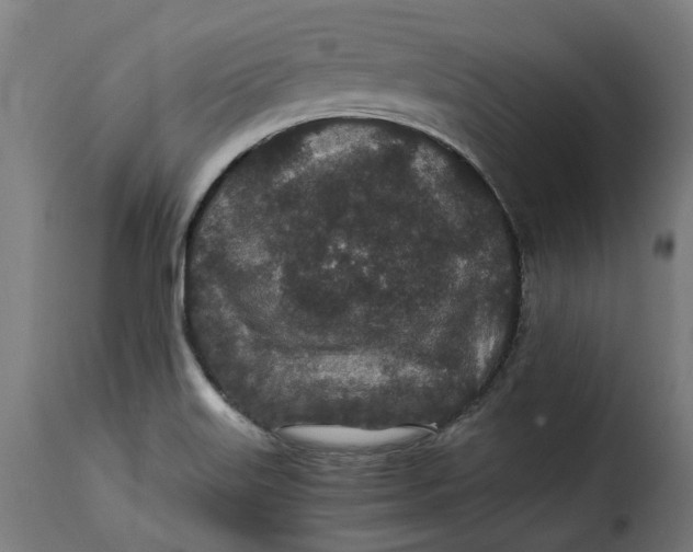 X0000115261515200911201653