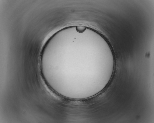 X0000115261517200911201653