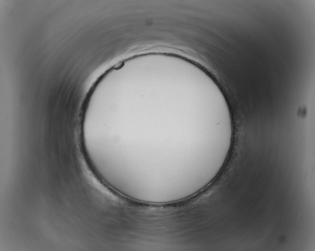 X0000115261518200911201653