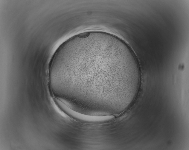 X0000115261519200911201654