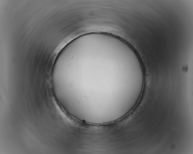 X0000115261521200911201654