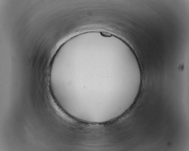 X0000115261526200911201654