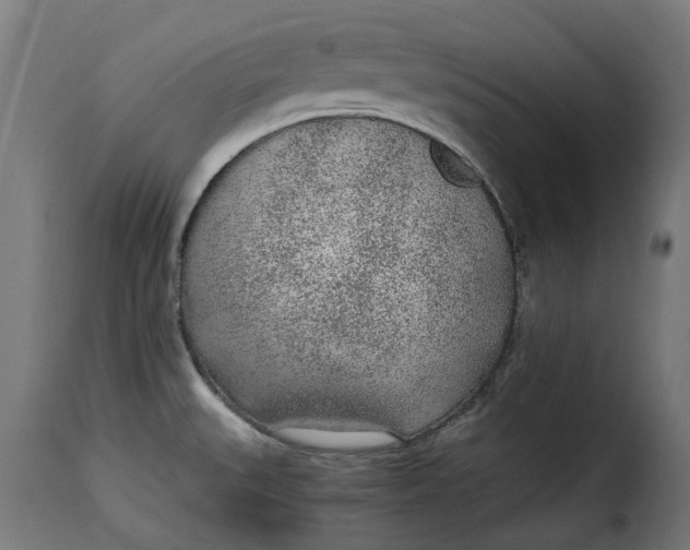X0000115261527200911201654