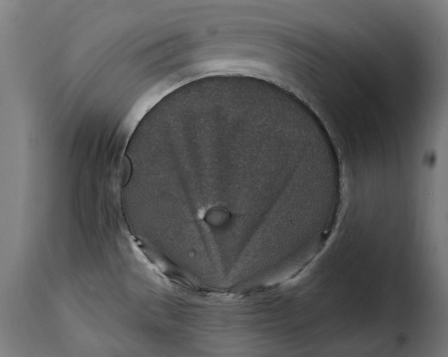 X0000115261529200911201654
