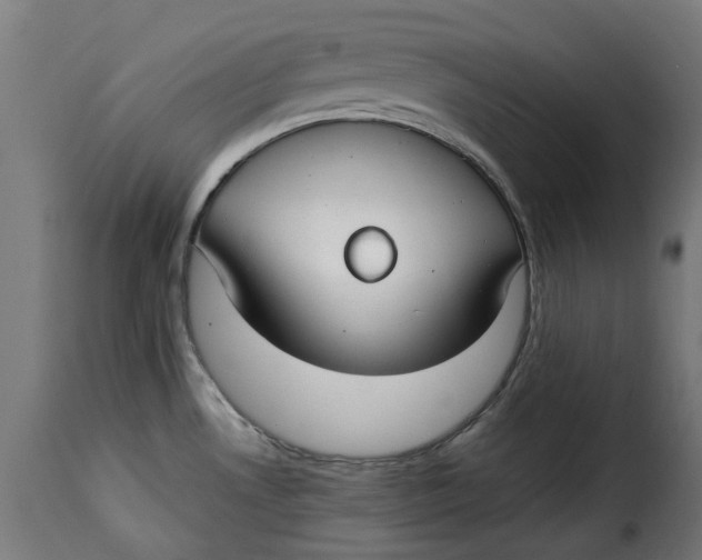 X0000115261530200911201654