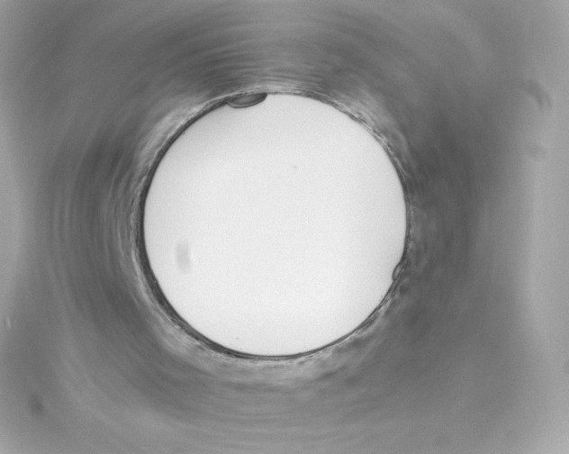 X0000115260001200911271935