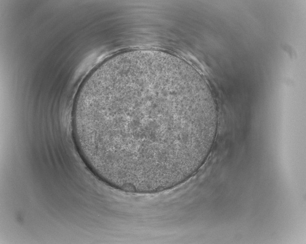 X0000115260002200911271935