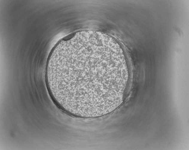 X0000115260003200911271935