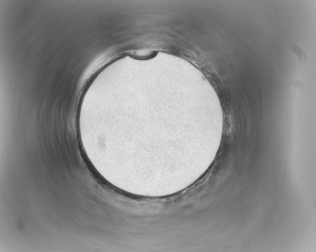 X0000115260004200911271935