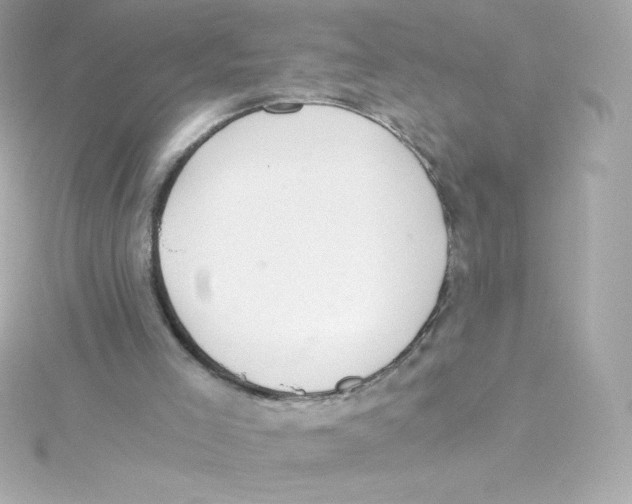 X0000115260005200911271935