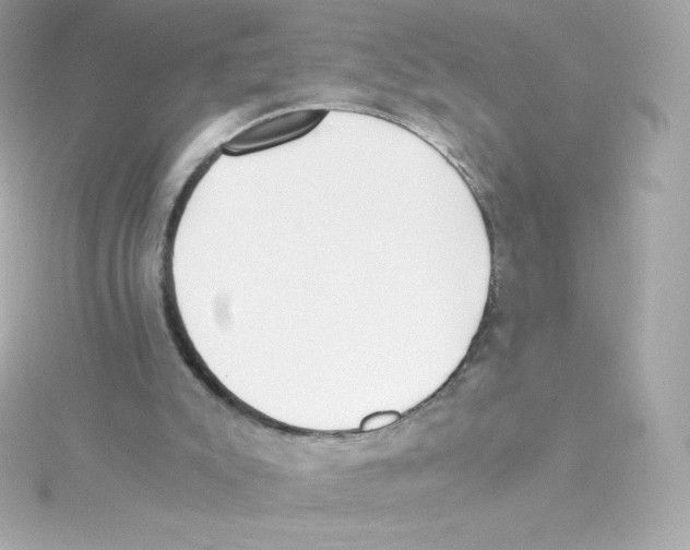 X0000115260007200911271935