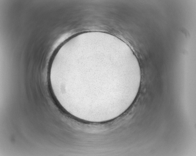 X0000115260008200911271935