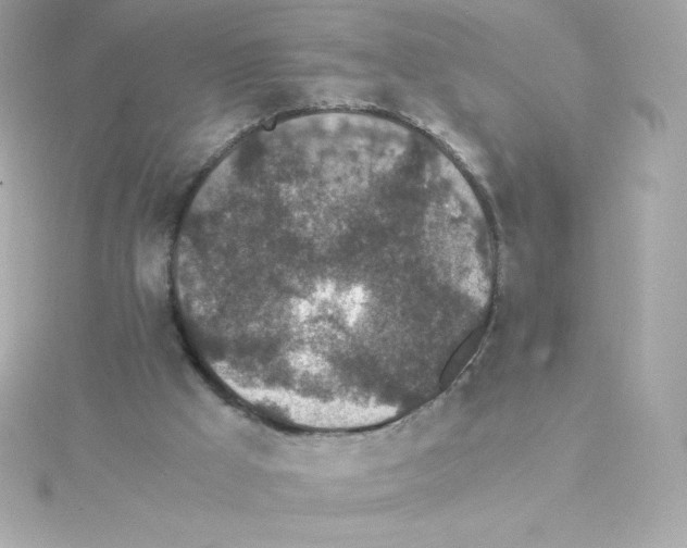 X0000115260009200911271935