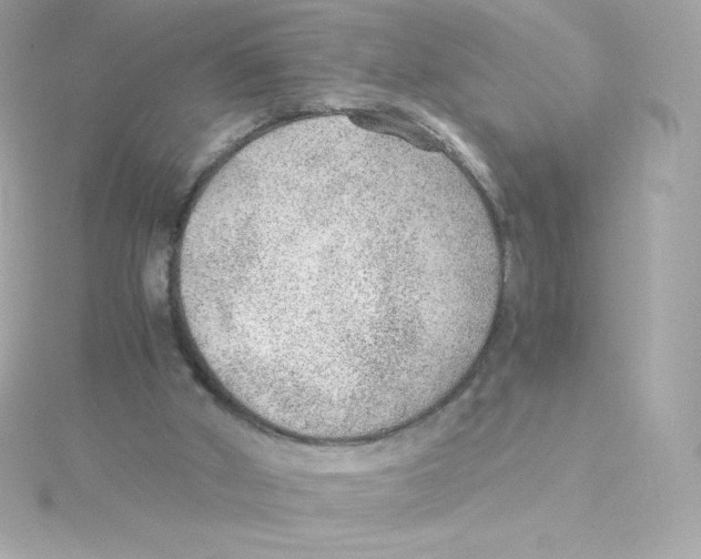 X0000115260010200911271935