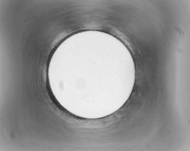 X0000115260011200911271935