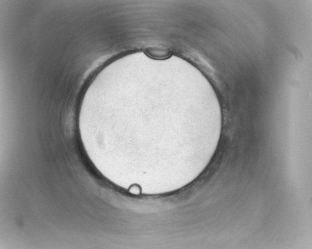 X0000115260012200911271935