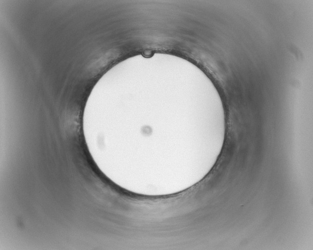 X0000115260017200911271935