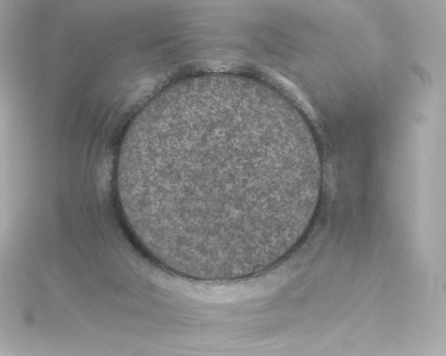 X0000115260018200911271935