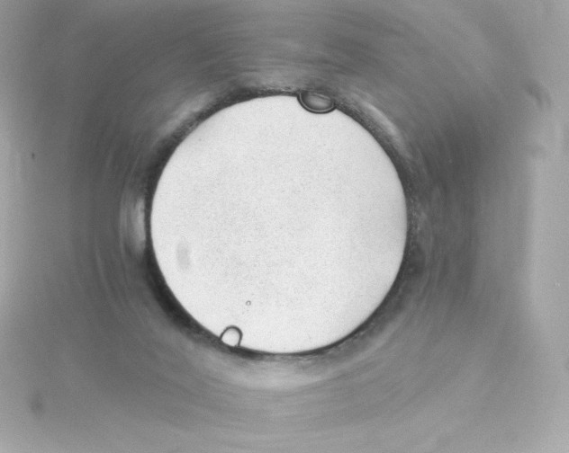 X0000115260020200911271935