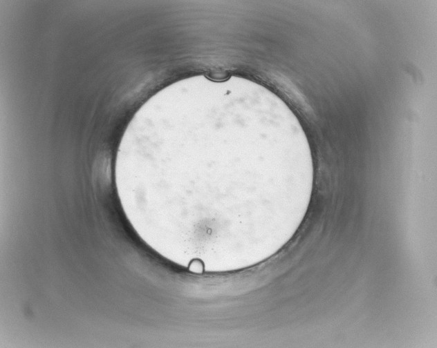 X0000115260021200911271935