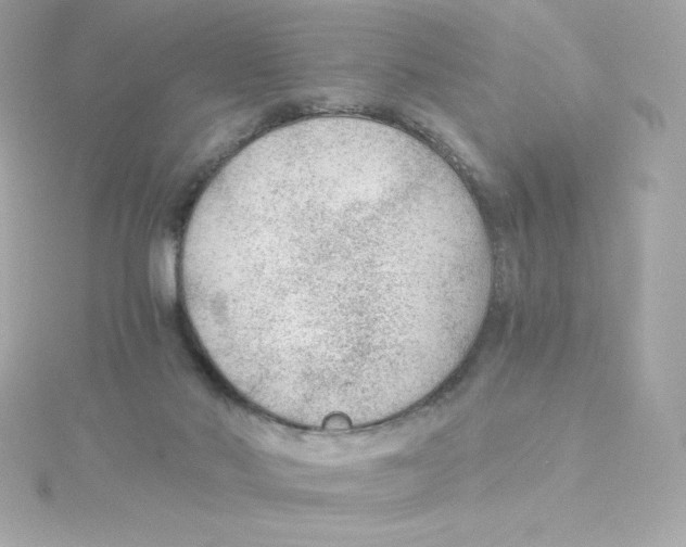 X0000115260022200911271935