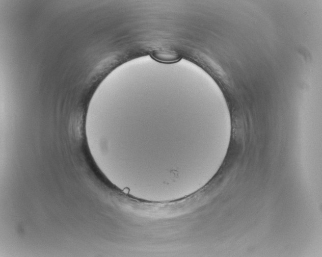 X0000115260023200911271935