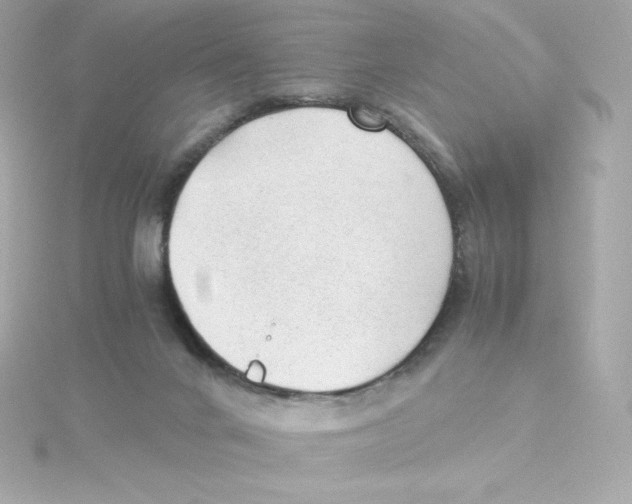 X0000115260024200911271935