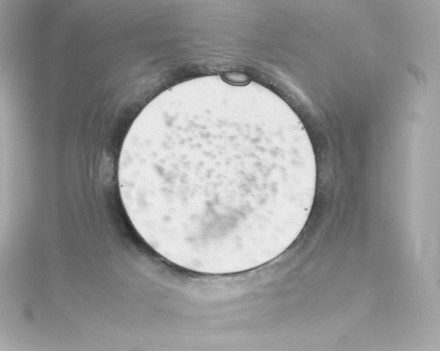 X0000115260025200911271935