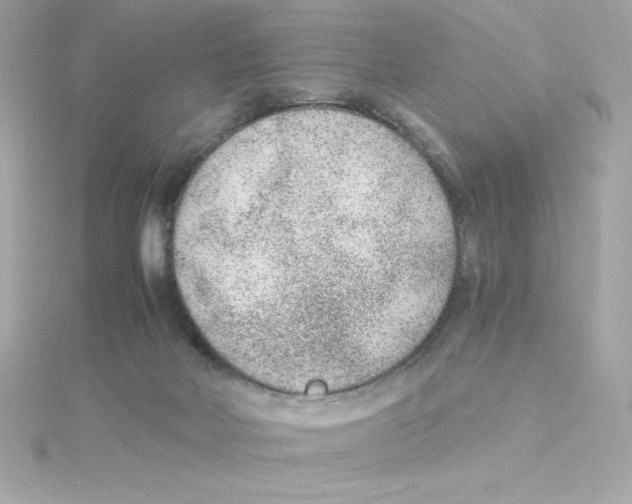 X0000115260026200911271935