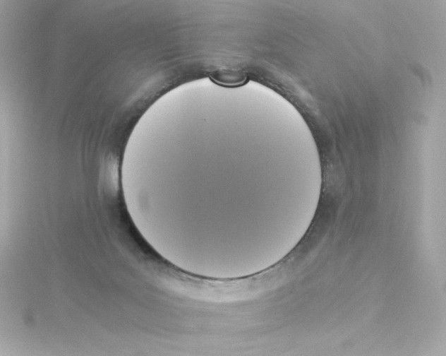 X0000115260027200911271934