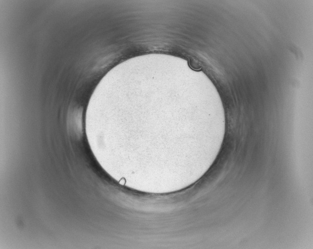 X0000115260028200911271934