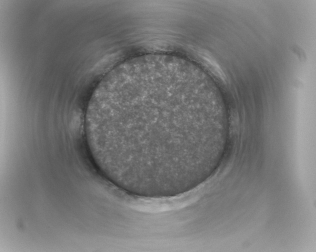 X0000115260029200911271934