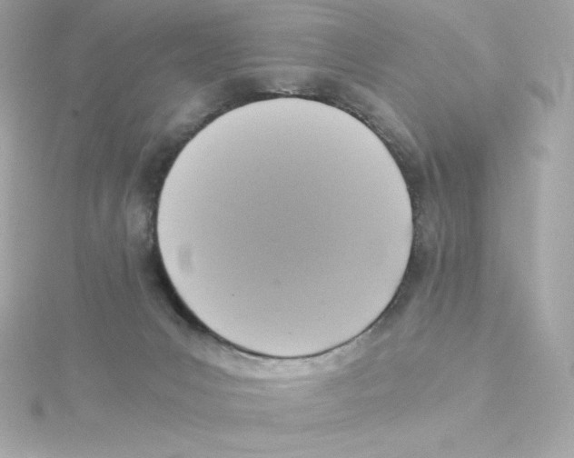 X0000115260031200911271934