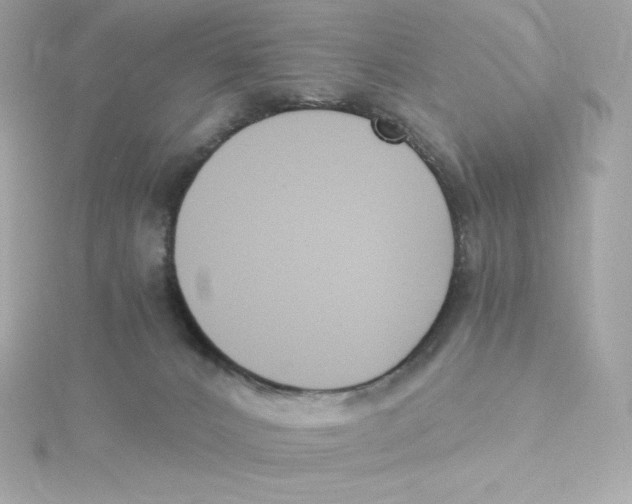 X0000115260032200911271934