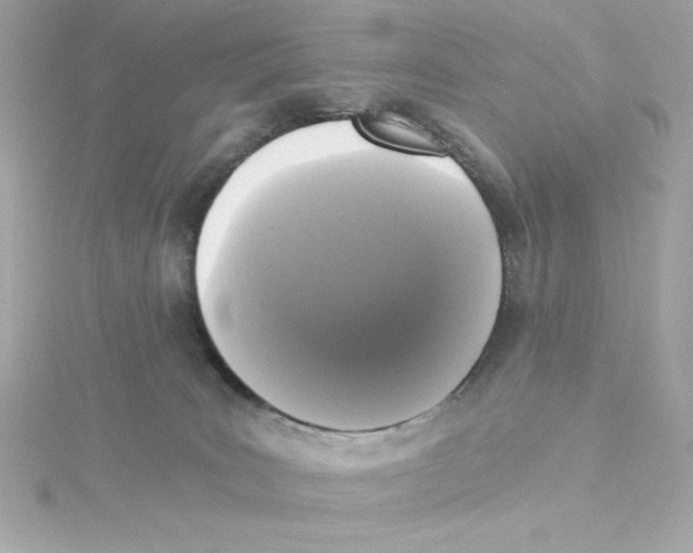 X0000115260035200911271934