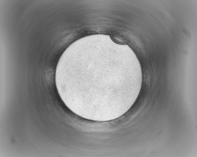 X0000115260036200911271934