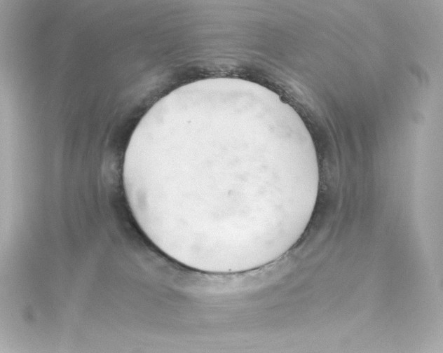 X0000115260037200911271934