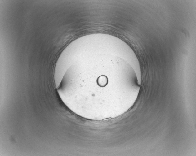 X0000115260041200911271934