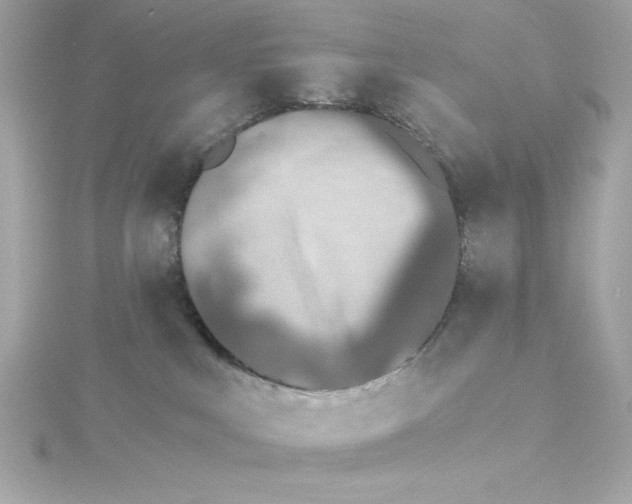 X0000115260043200911271934