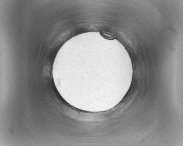 X0000115260044200911271934